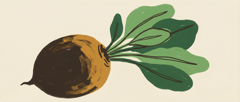 Beetroot