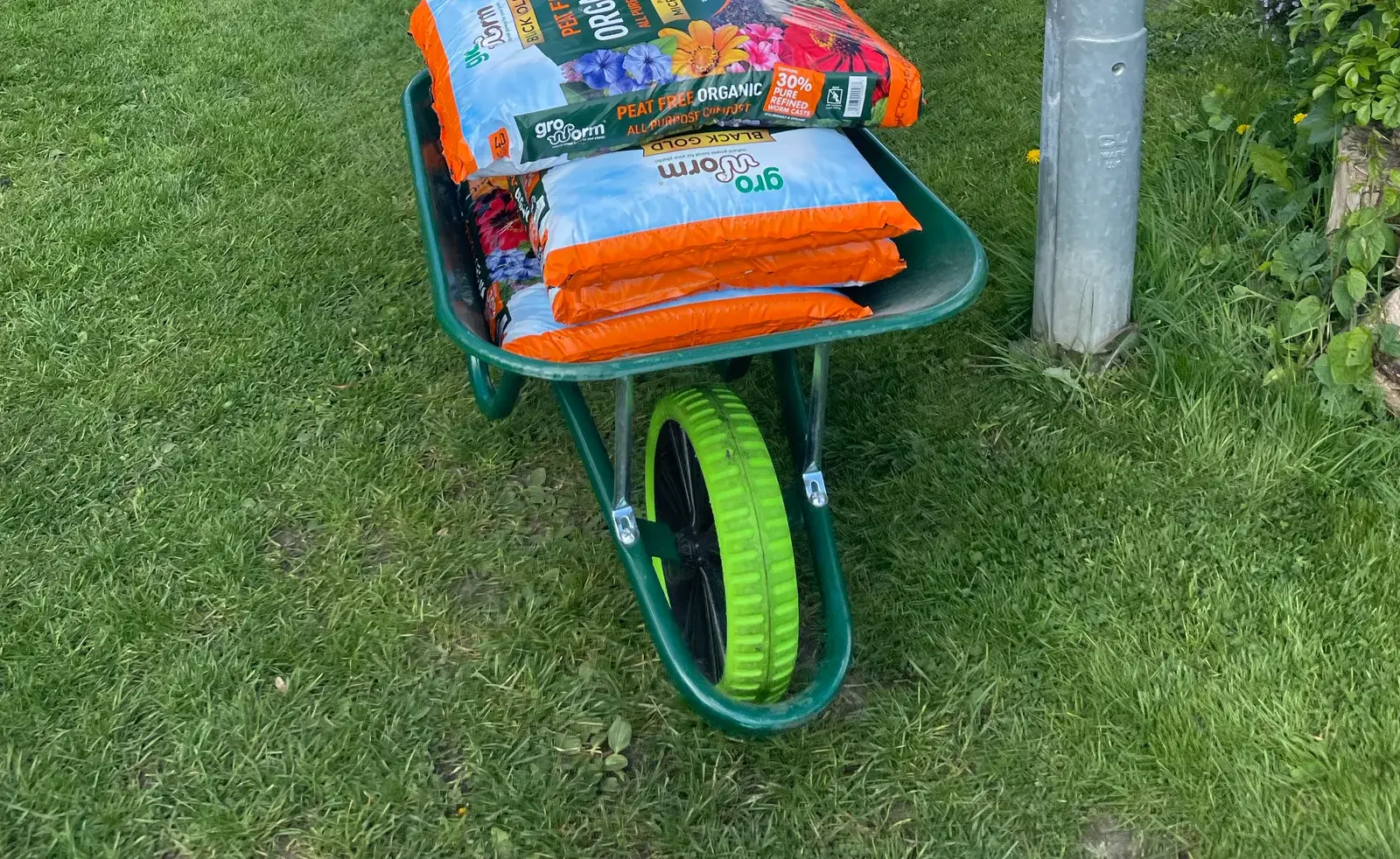 The green Haemmerlin puncture-free wheelbarrow on the allotment, loaded with bags of peat-free compost, its bright green wheel catching the light
