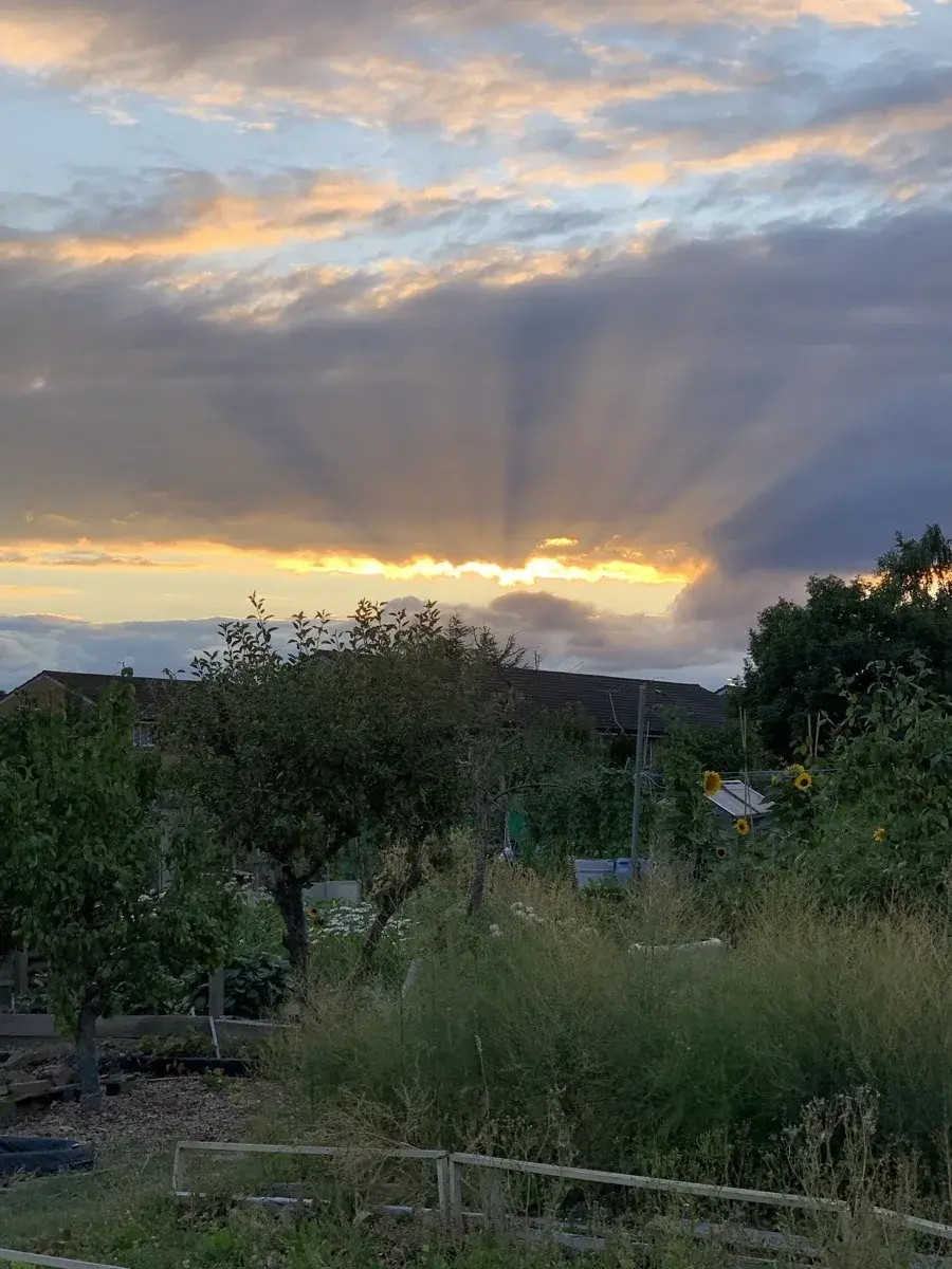 Sun mapping your garden