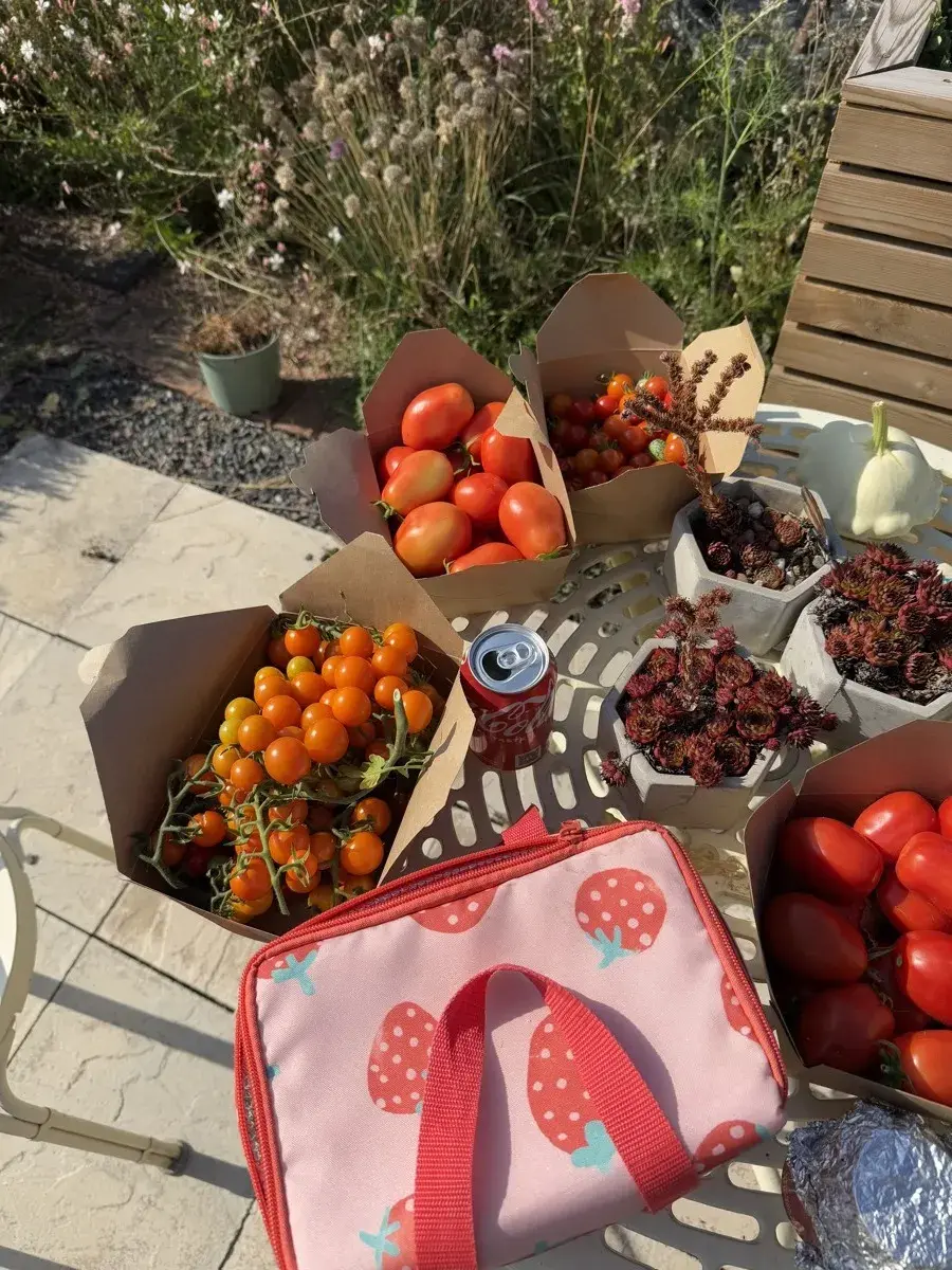 Dealing with the glut
