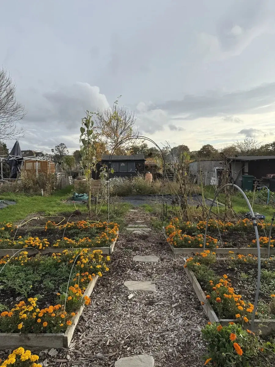 Preparing your plot for winter