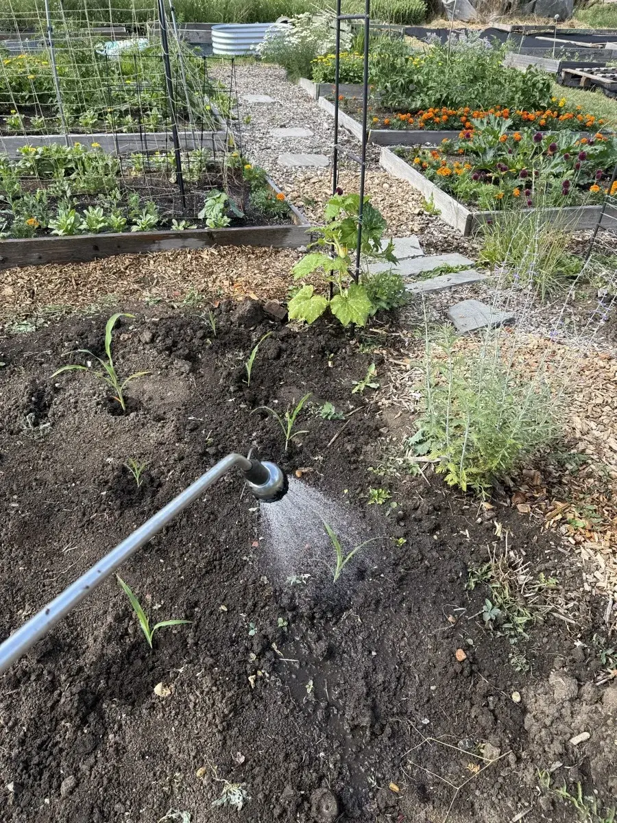 Watering while you're away