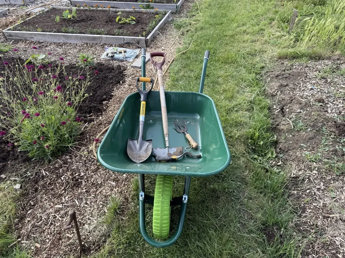 What you need for your first allotment