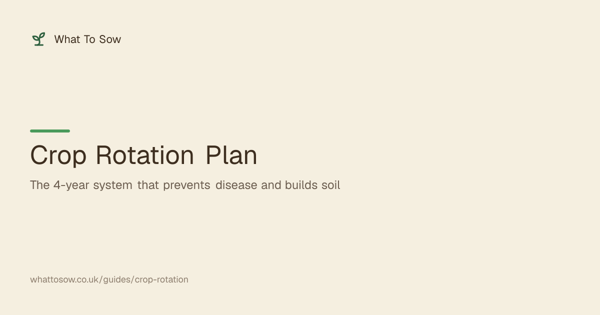 Crop Rotation Plan UK — 4 Year Vegetable Rotation Guide | What To Sow