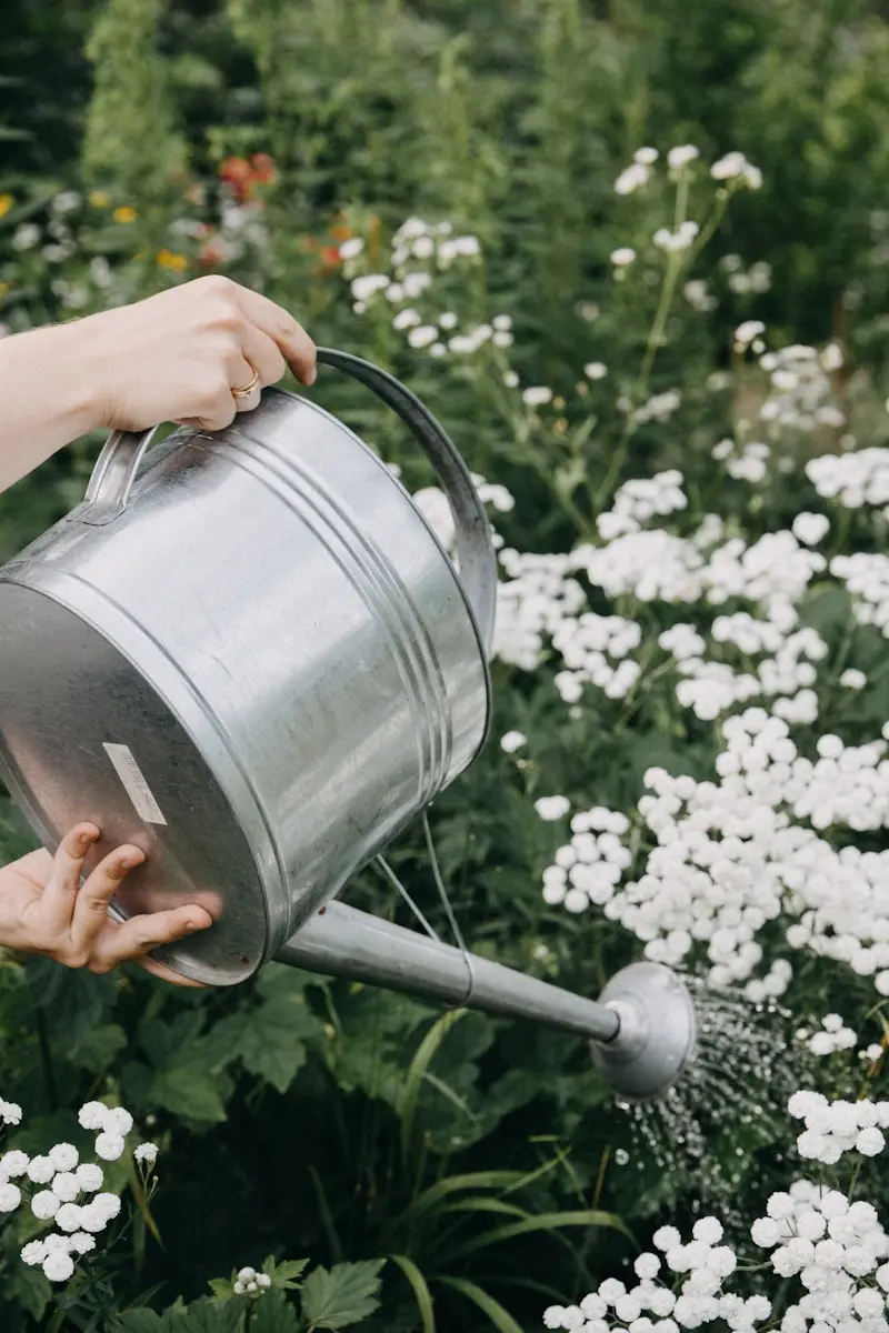 Person watering a garden with a metal watering can