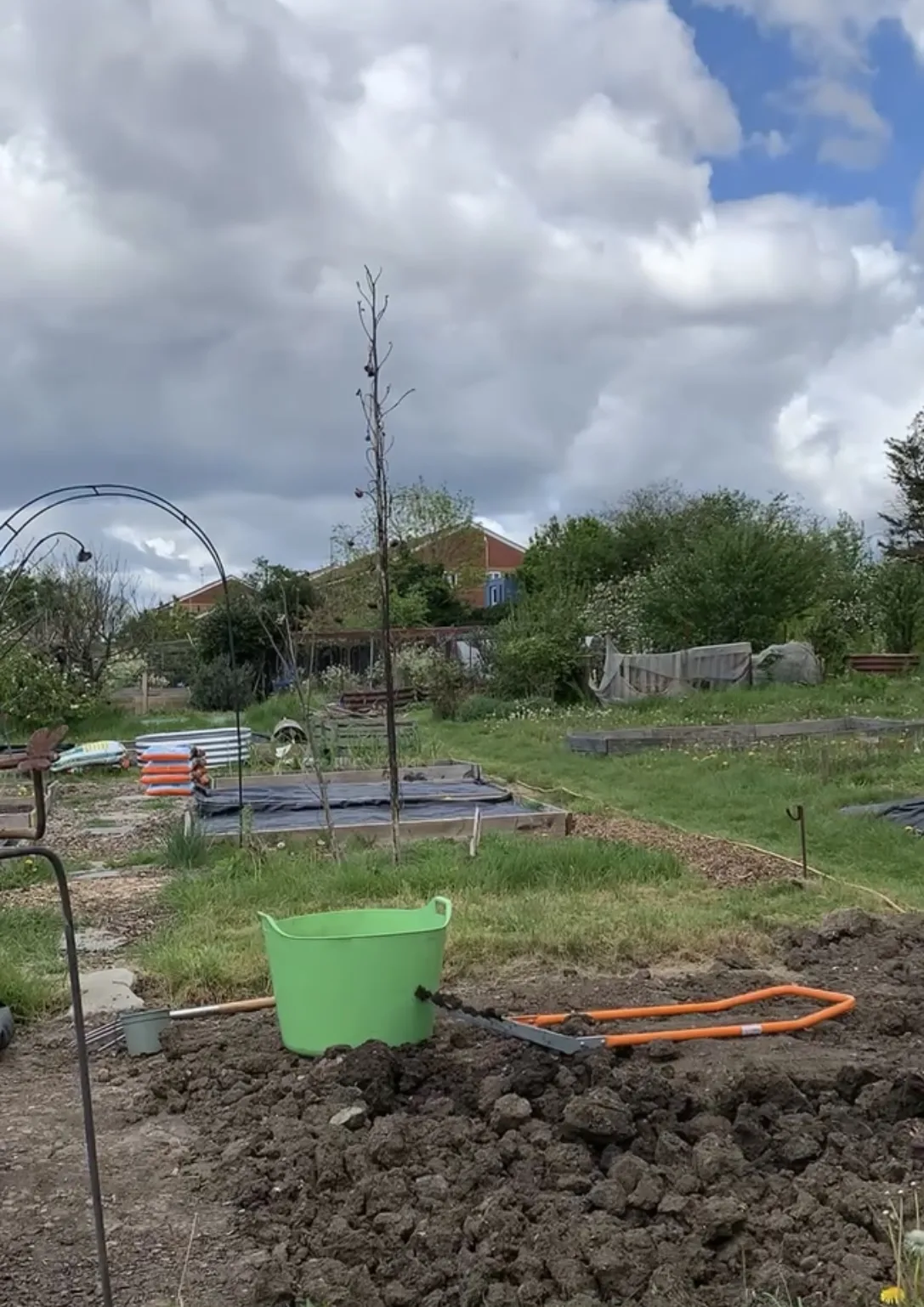 The Terradix broadfork resting on freshly broken clay at the allotment, a green trug alongside and weed-membrane beds behind