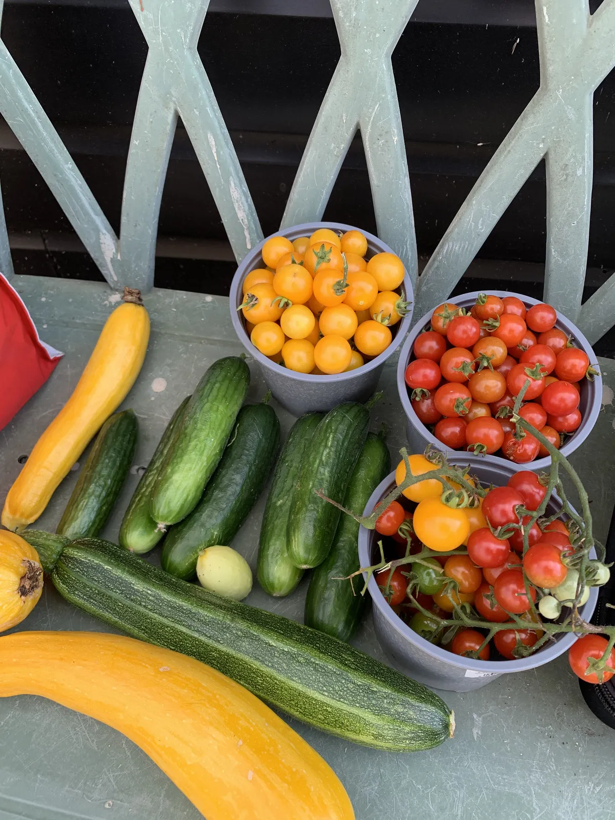 A harvest of cherry tomatoes in red, orange and yellow, alongside green courgettes and a yellow courgette