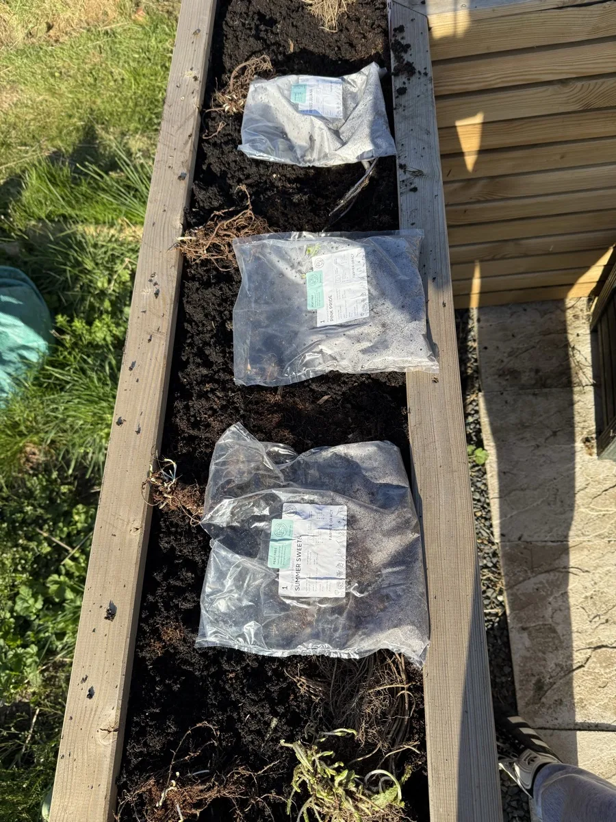 Farmer Gracy bare root packages laid inside a wooden planter ready to be unwrapped and planted