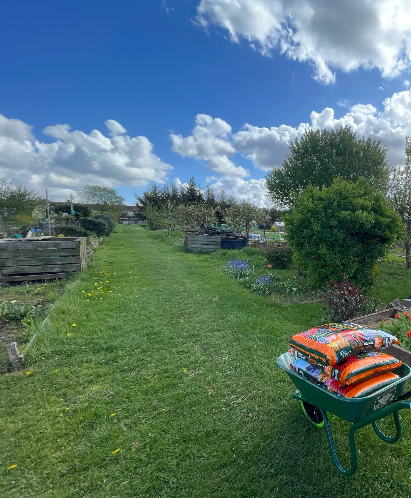 The new green wheelbarrow loaded with bags of compost on the grass path under a big blue spring sky