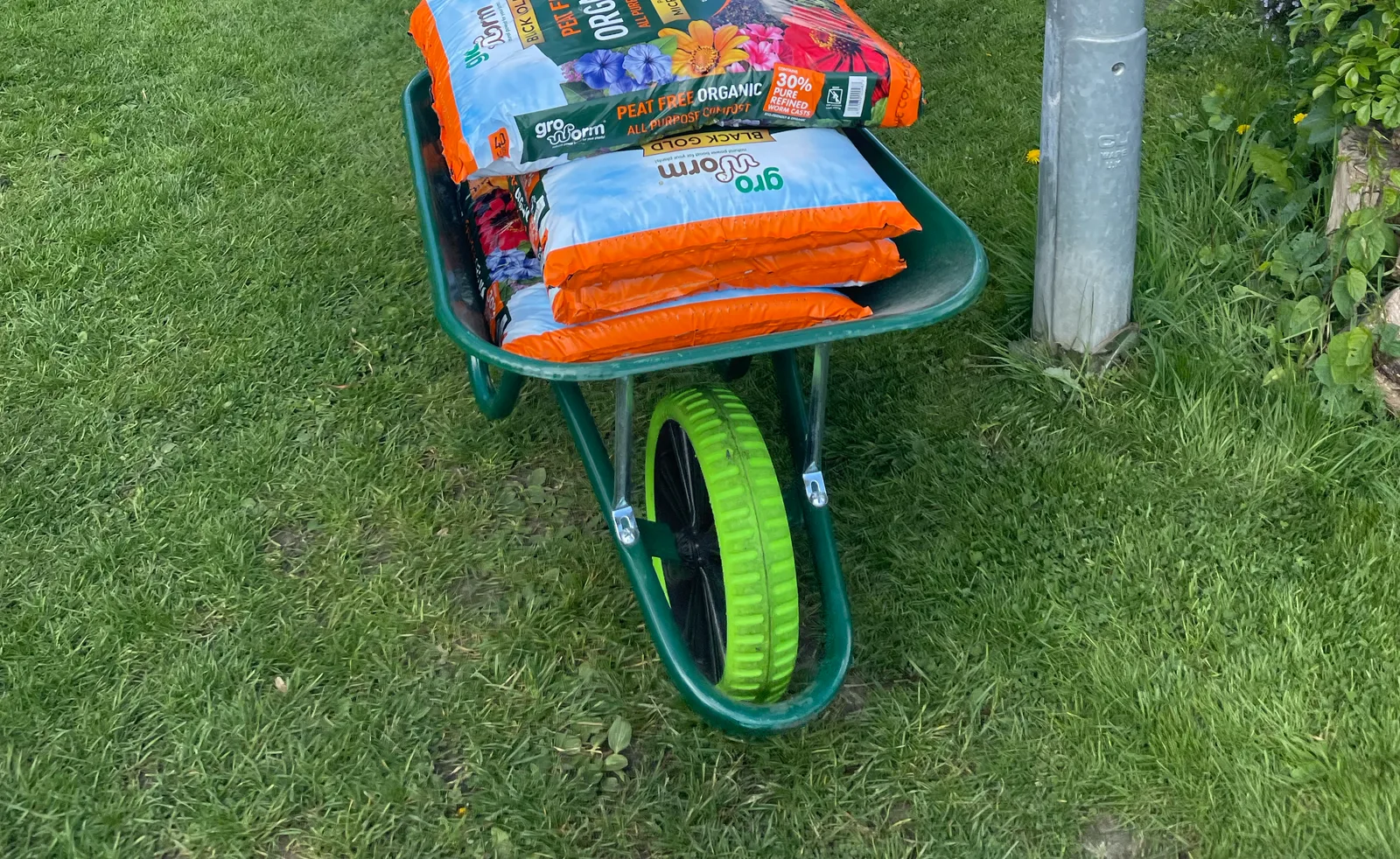 The green Haemmerlin puncture-free wheelbarrow on the allotment, loaded with bags of peat-free compost, its bright green wheel catching the light
